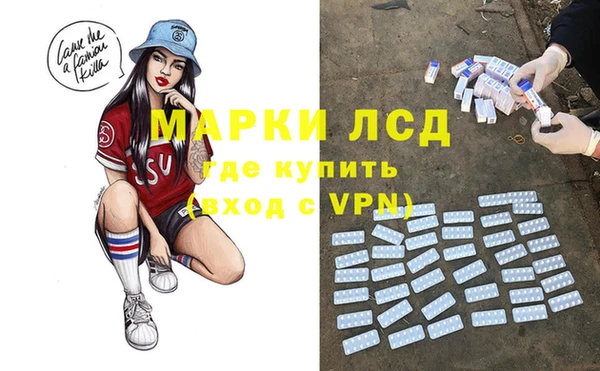 прущие грибы Баксан