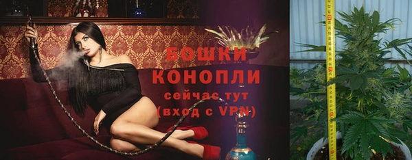 прущие грибы Баксан