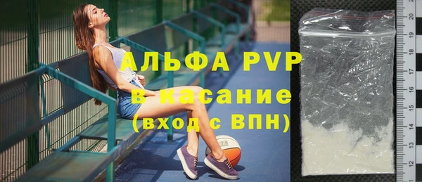 прущие грибы Баксан