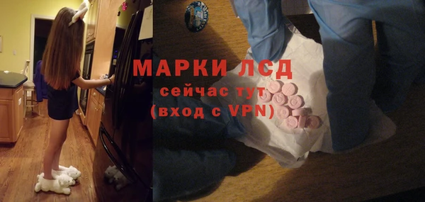 прущие грибы Баксан